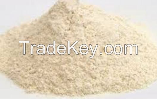 Dried onion powder