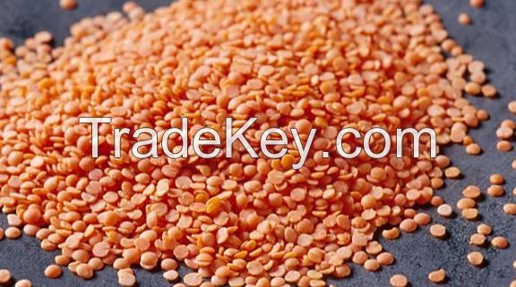 Red Lentils / Green Lentils