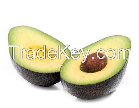 Fresh Avocado ( Hass )