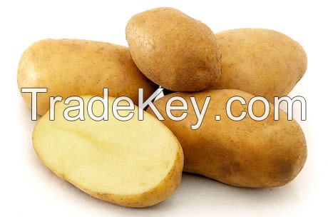 High Quality Fresh Bintje Potatoes