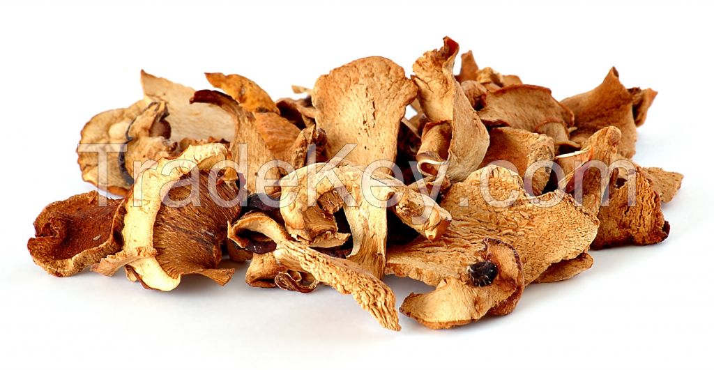 Dried Mushrooms