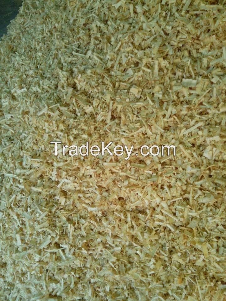 Pine Wood Shavings - Best Quality and Price