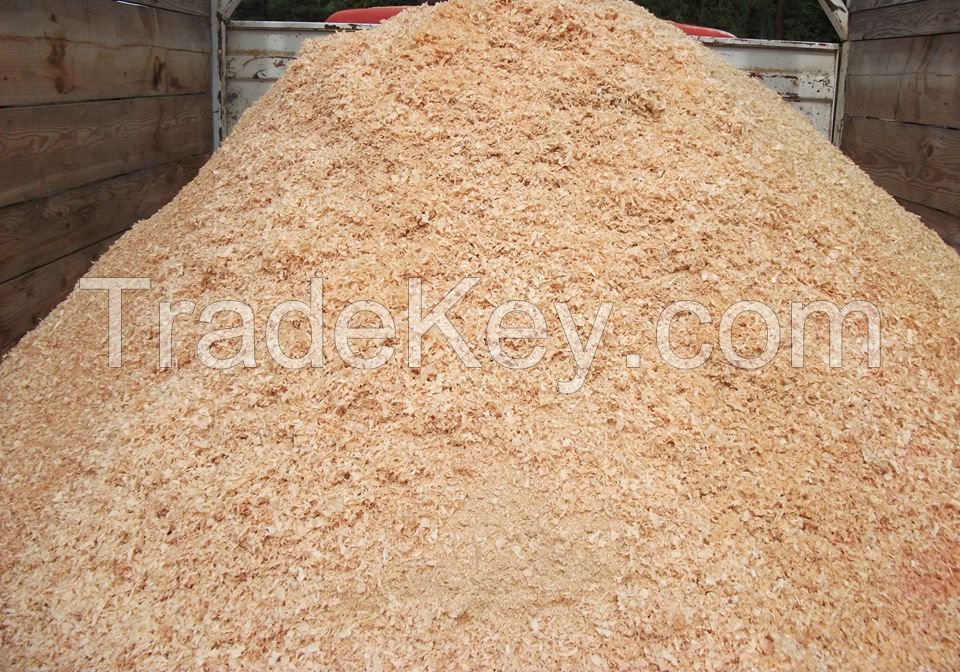 Acacia + Pine + Rubber Sawdust - High quality