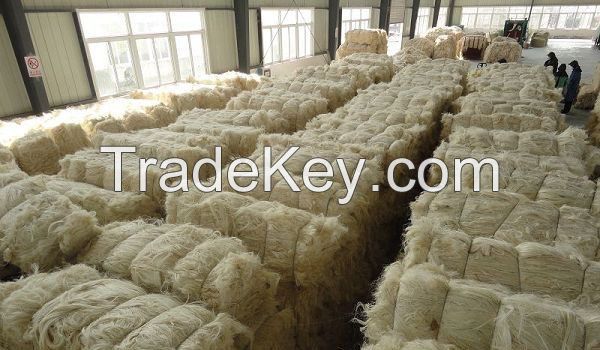 UG Grade White Sisal Fiber