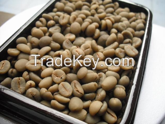 Arabica Coffee Bean