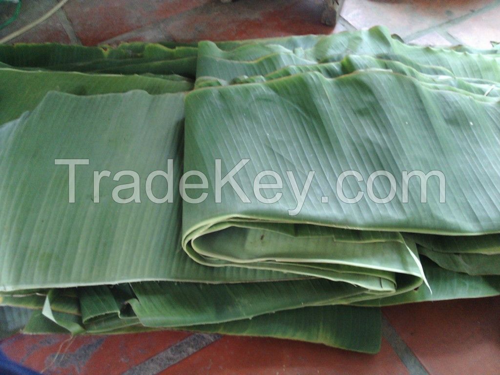 banana leaf