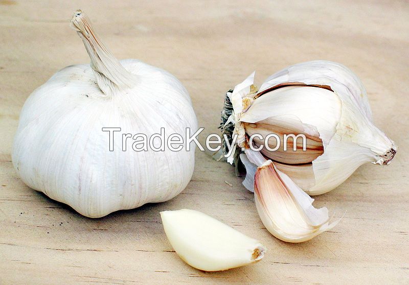 dried garlic