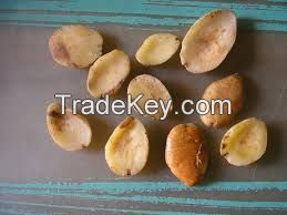 African Bush Mango (irvingia gabonensis seeds) For Sale