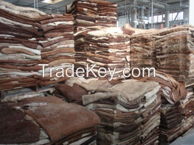 Dry and Wet Salted Donkey/Goat Skin /Cow Hides