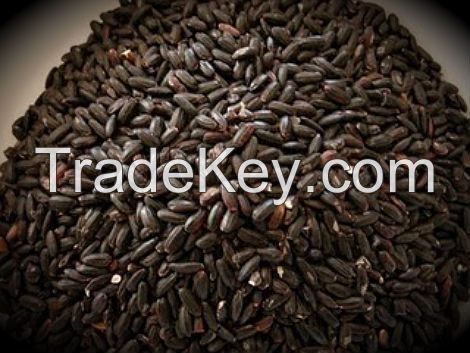 Organic Black Rice