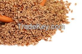 Premium quality Psyllium Husk