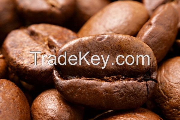 Organic Robusta and Arabic Coffee Beans