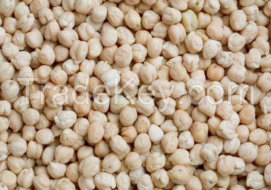 dried chickpeas supplier chick peas