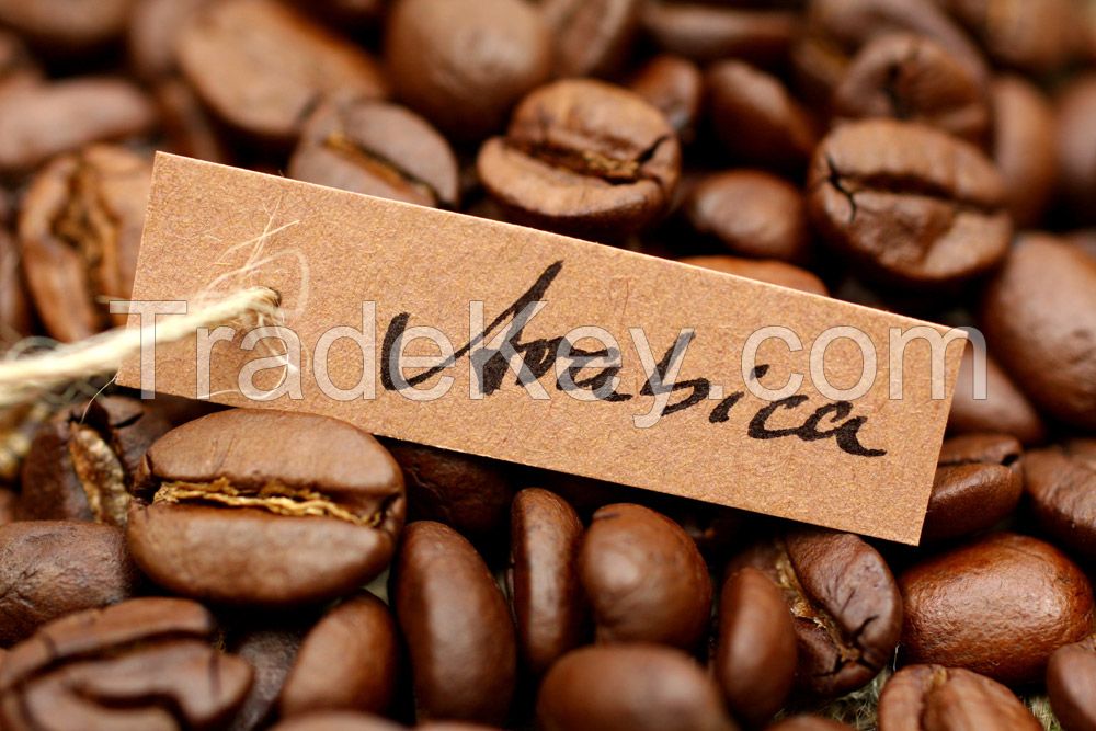 High Quality Arabica Coffee beans good price