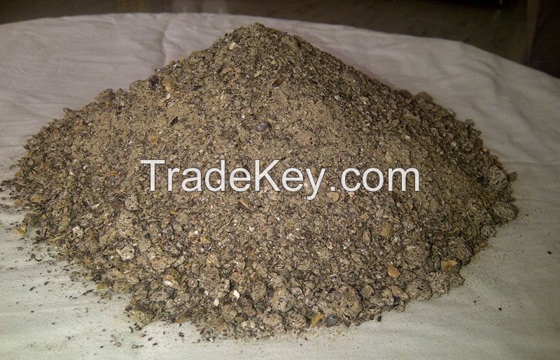 Castor Seeds Meal Good Quality Suppliers