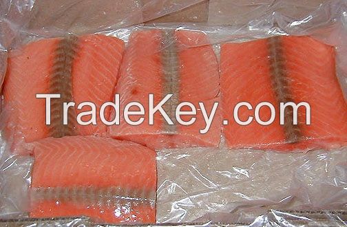 frozen chum salmon fillet