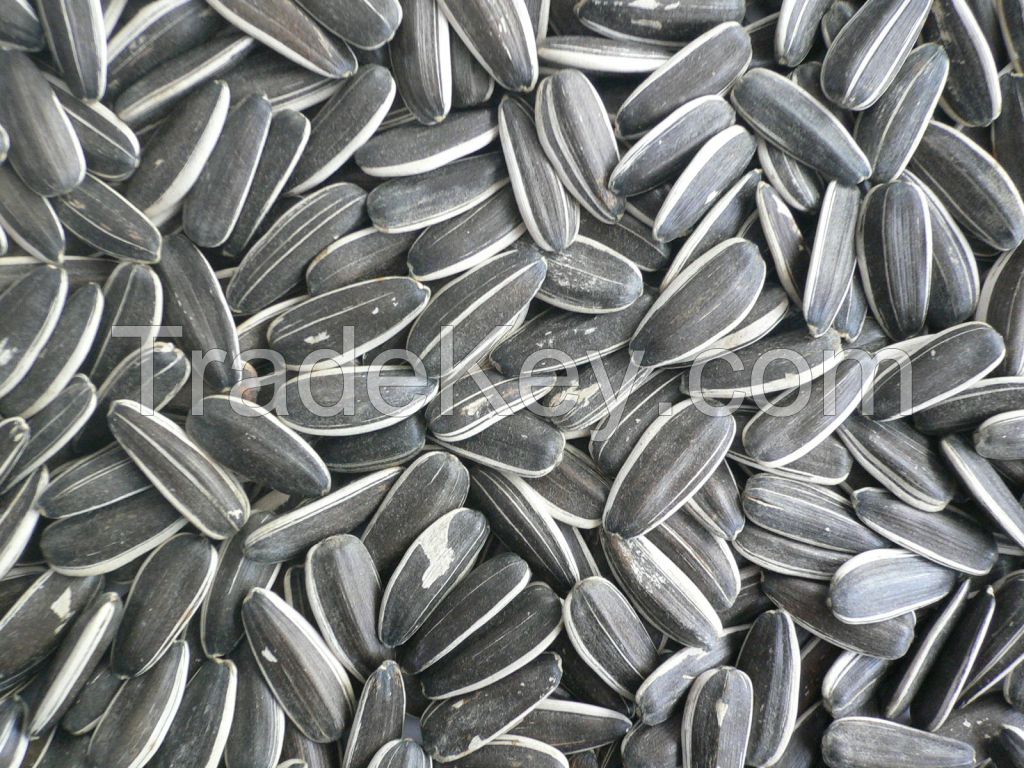 Supply all types of sun flower seeds