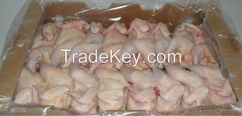 WHOLE FROZEN CHICKEN AND CHICKEN PARTS FROM USA