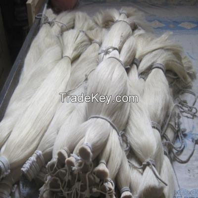 Natural Horse Tail Hair for sale