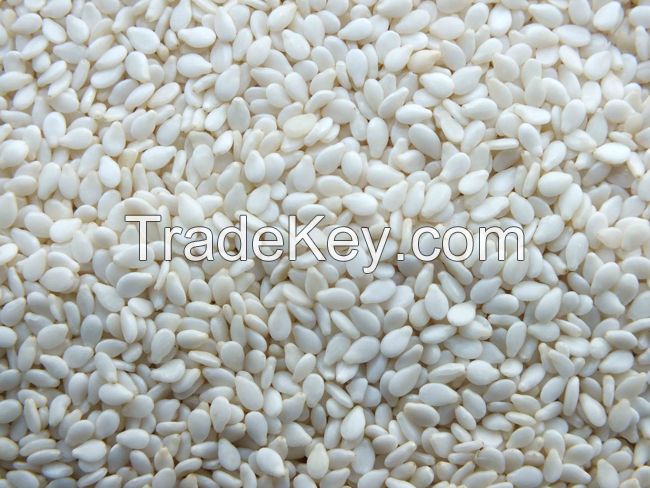 Sell High Quality White Hulled Sesame Seeds