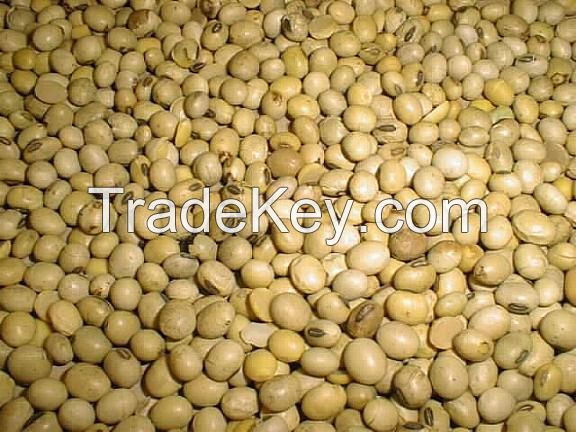 Sell Soybeans