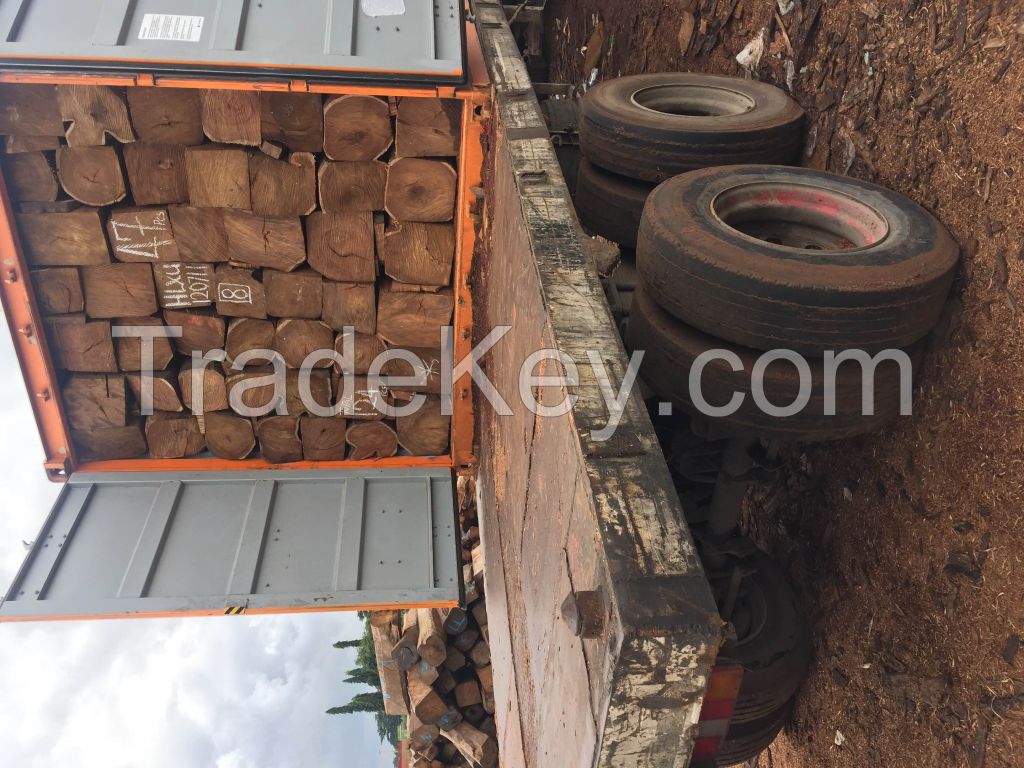 Sell Kosso Wood - Pterocarpus Erinaceus