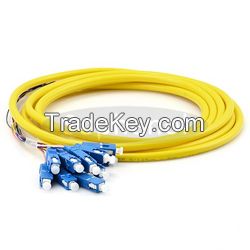 12 cores Fiber Optic Patch pigtail cable