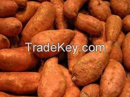 GRADE ''A'' SWEET POTATOES FOR SALE