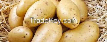 GRADE ''A'' FRESH POTATOES FOR SALE