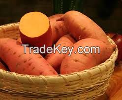 GRADE ''A'' SWEET POTATOES FOR SALE