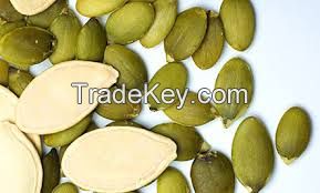 Pumpkin Seeds Kernels AA