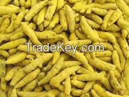 Turmeric Finger / Powder Turmeric Finger