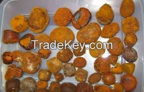 Dried Cow Ox Gallstones