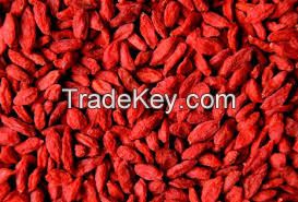 organic goji berry