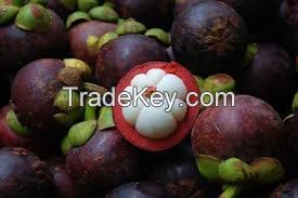 Mangosteen