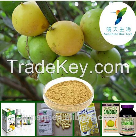 High quality Natural Garcinia Cambogia Extract Loss Weight