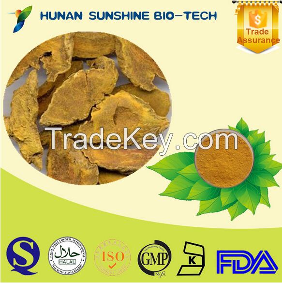 100% Natural Turmeric Root Extract Powder / Curcuma longa L. / 50% 90% 95% 98% Curcumin HPLC