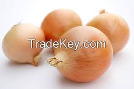 onion