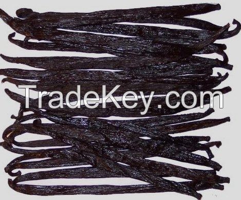 Premium Vanilla Beans for sale at affordable rates
