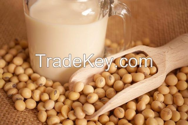 Isolated soy protein for sale.