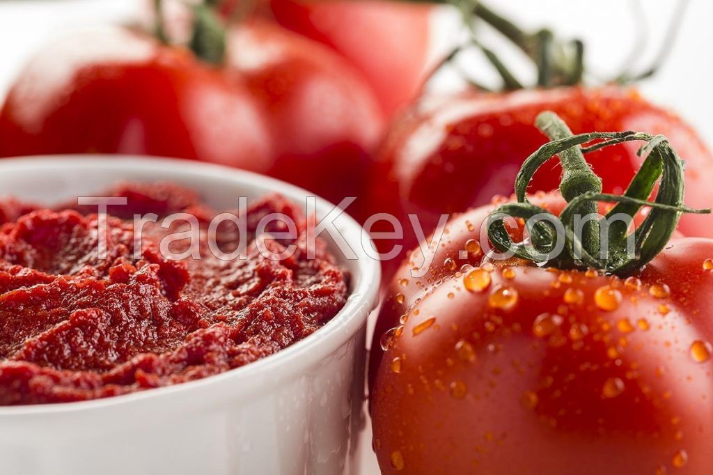 Tomato Paste Available for sale at competitive prices