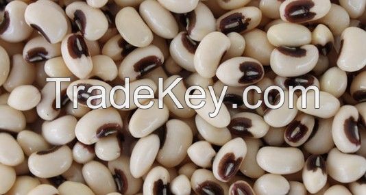 Premium quality black eye beans at competitive price.