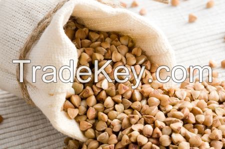 BUCKWHEAT KERNELS FOR SALE.