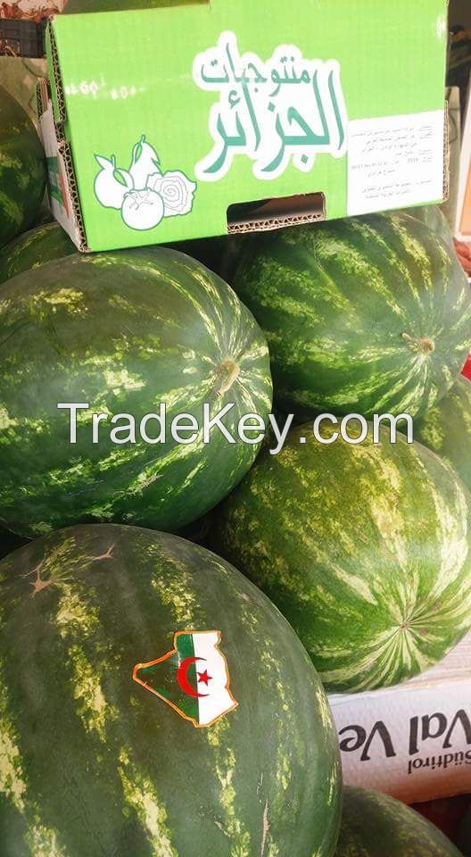 Amazing Fresh Red Watermelons