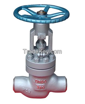 The power station Globe valve