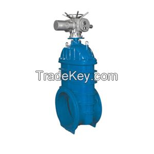 Resilient seated gate valve of power station valve