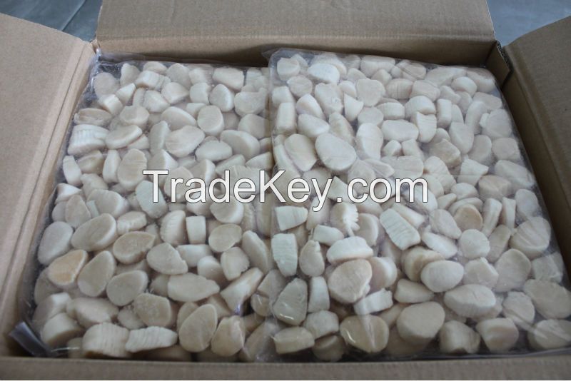 Scallop meat for sale well package