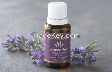 Lavender Oil