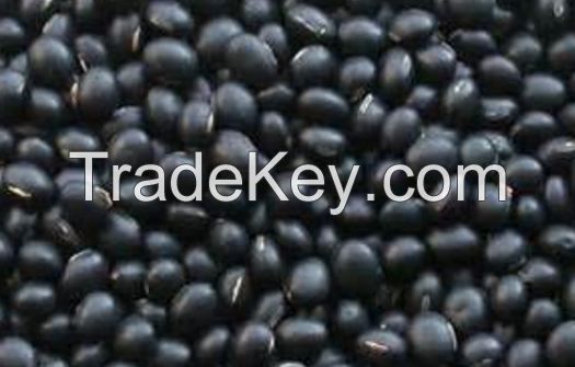 Black Beans Green Kernels