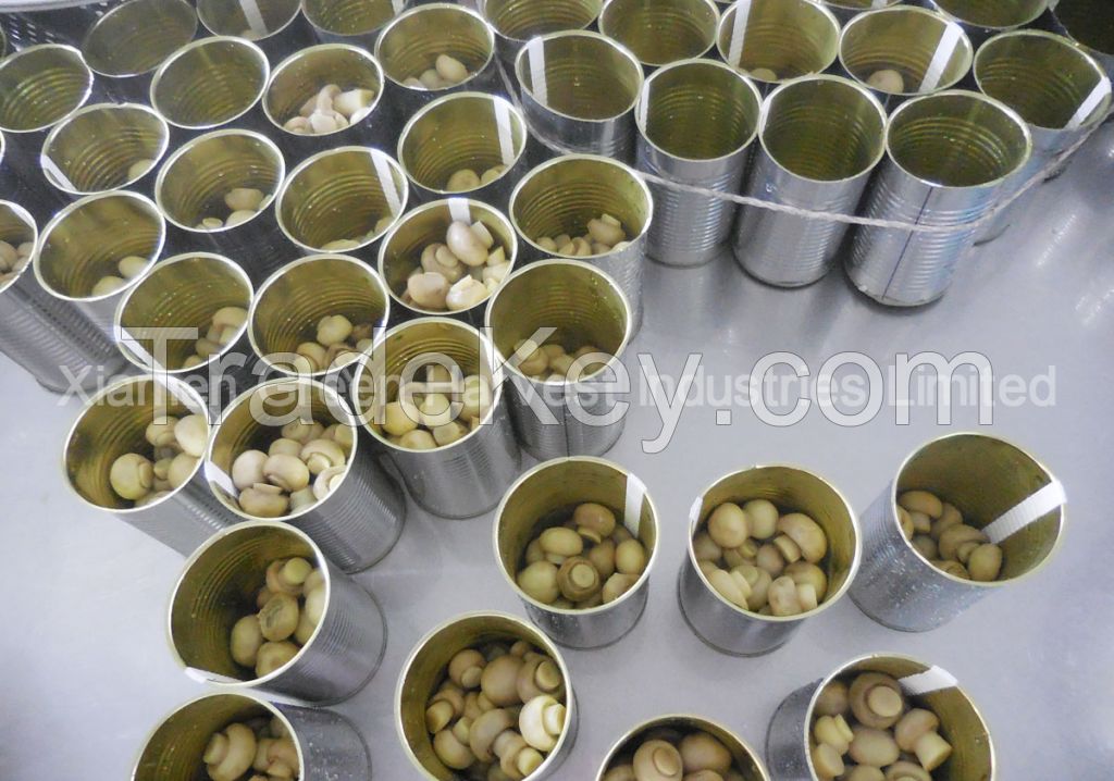 Canned Mushroom Whole/Pns/Slice From China Factory High Quality For Export